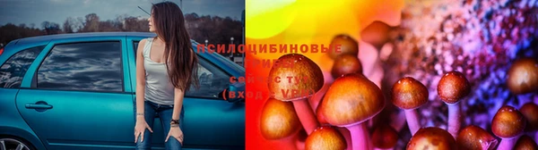 соль ск Беломорск